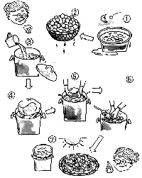 梅干しの漬け方
